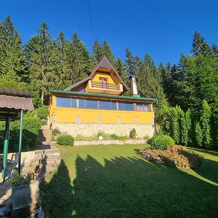 Green Forest Vlašić Eksteriør billede