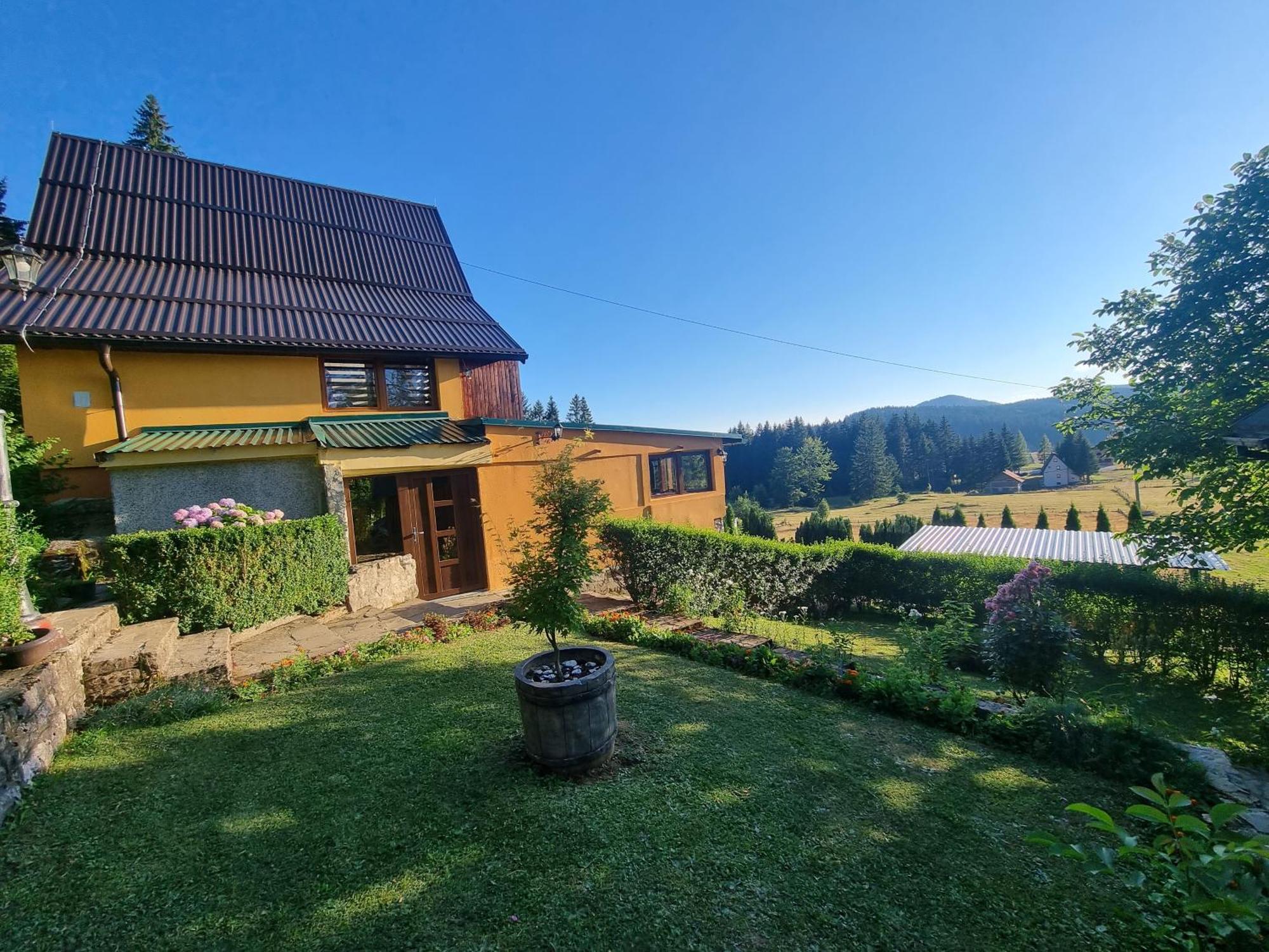 Green Forest Vlašić Eksteriør billede